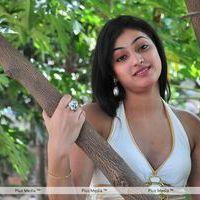 Haripriya New Photo Shoot - Pictures | Picture 115609